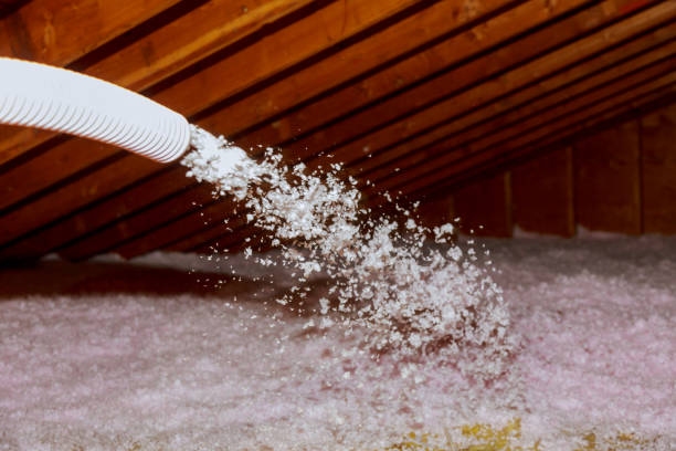 Best Commercial Insulation in Ironton, MO